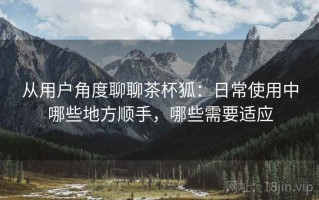 从用户角度聊聊茶杯狐：日常使用中哪些地方顺手，哪些需要适应