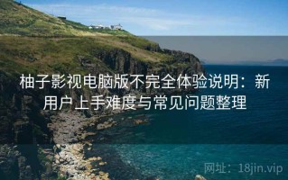 柚子影视电脑版不完全体验说明：新用户上手难度与常见问题整理