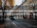 第一次使用樱花影院官网时的真实感受：日常使用中哪些地方顺手，哪些需要适应