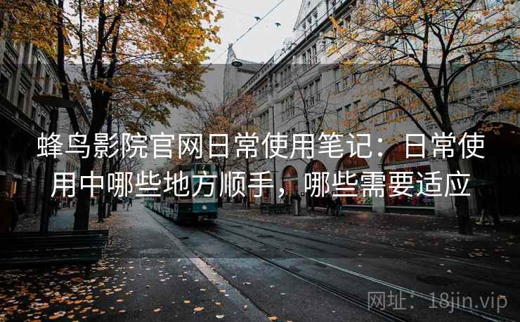 蜂鸟影院官网日常使用笔记：日常使用中哪些地方顺手，哪些需要适应-第1张图片