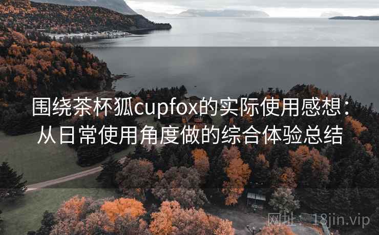 围绕茶杯狐cupfox的实际使用感想：从日常使用角度做的综合体验总结-第2张图片