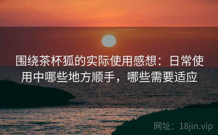 围绕茶杯狐的实际使用感想:日常使用中哪些地方顺手,哪些需要适应-第1张图片 围绕茶杯狐的实际使用感想:日常使用中哪些地方顺手,哪些需要适应-第1张图片
