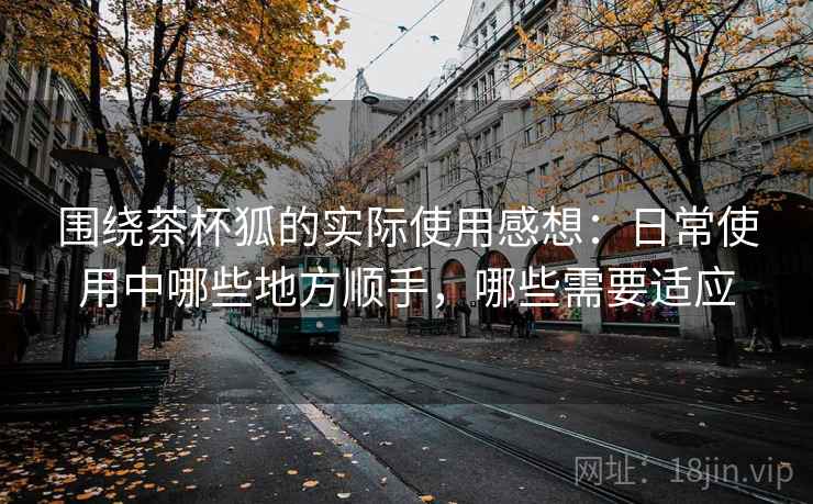 围绕茶杯狐的实际使用感想:日常使用中哪些地方顺手,哪些需要适应-第2张图片 围绕茶杯狐的实际使用感想:日常使用中哪些地方顺手,哪些需要适应-第2张图片