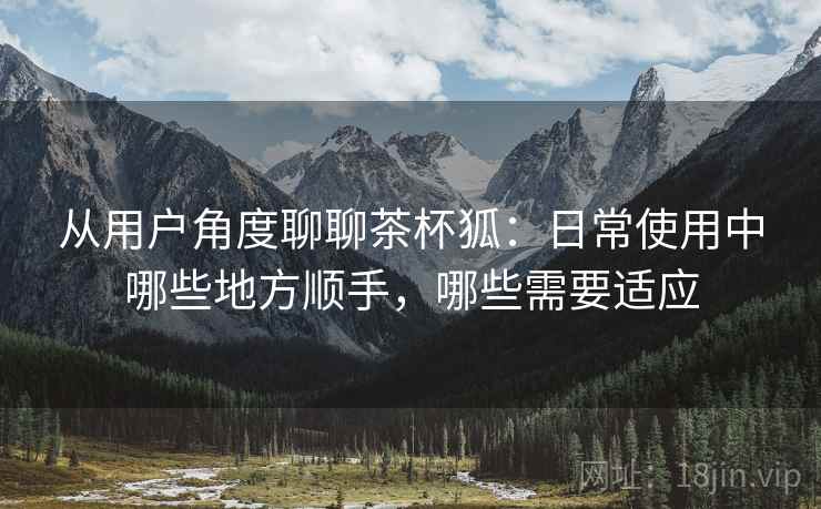 从用户角度聊聊茶杯狐:日常使用中哪些地方顺手,哪些需要适应-第1张图片 从用户角度聊聊茶杯狐:日常使用中哪些地方顺手,哪些需要适应-第1张图片