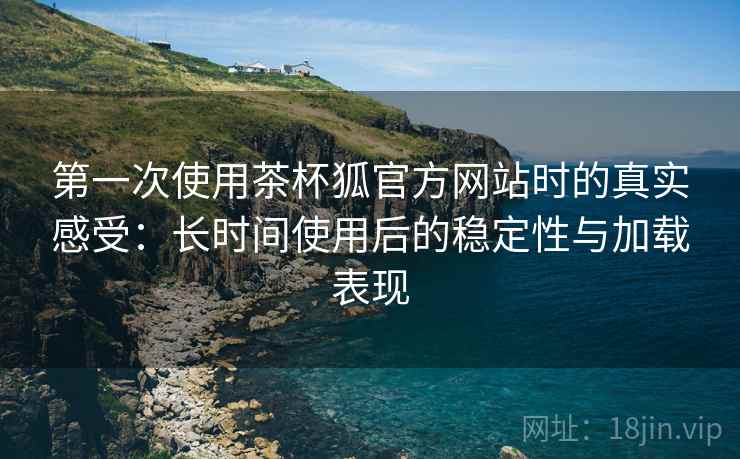 第一次使用茶杯狐官方网站时的真实感受：长时间使用后的稳定性与加载表现-第1张图片