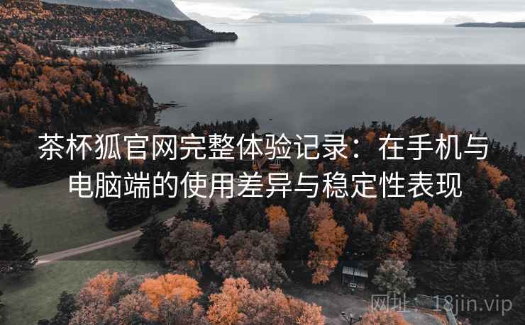 茶杯狐官网完整体验记录：在手机与电脑端的使用差异与稳定性表现-第2张图片
